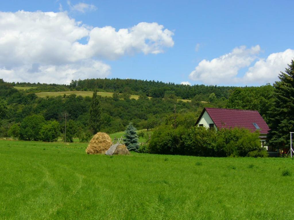 Haus Feldmühle Apartment